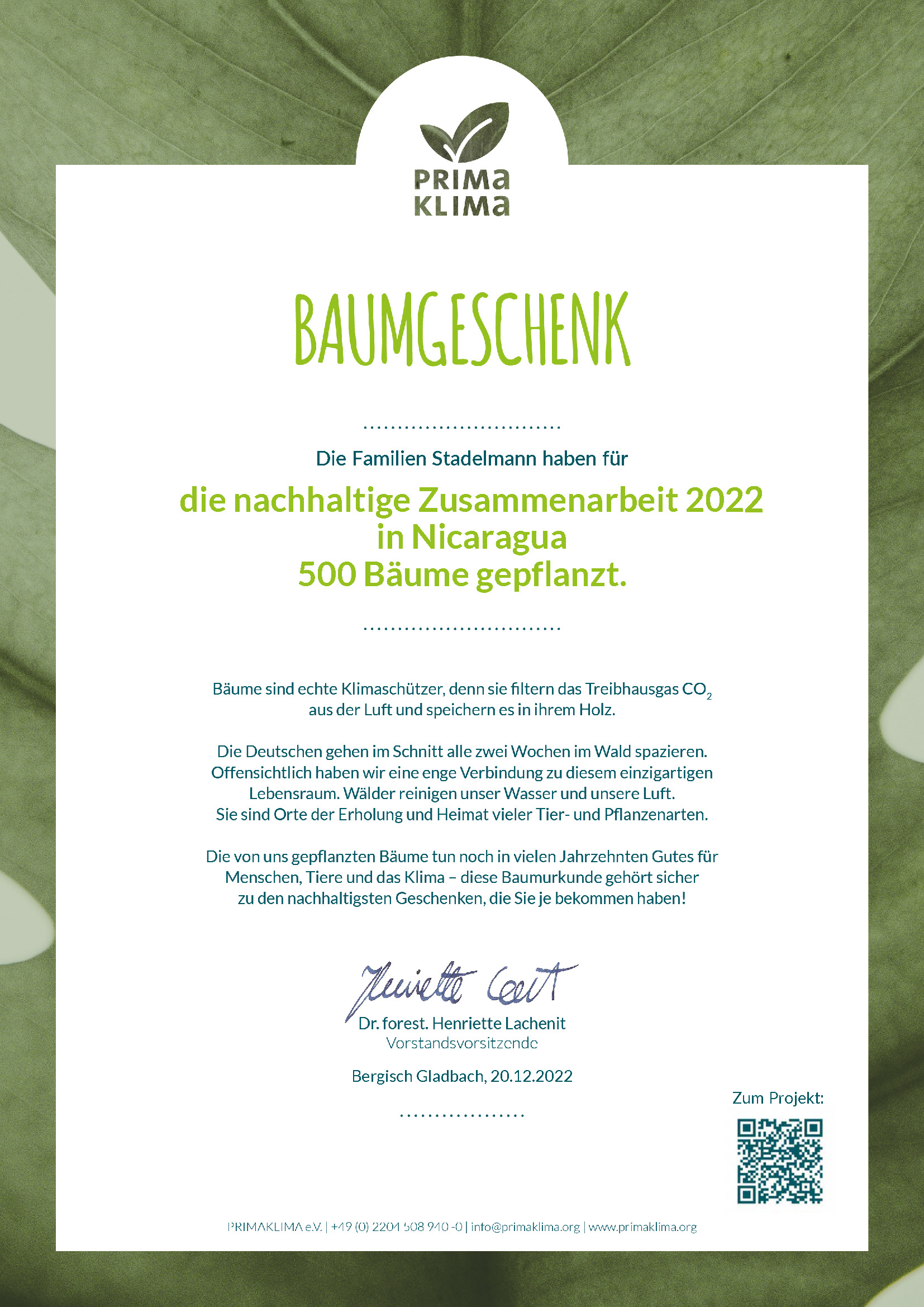 Baumgeschenk 2022